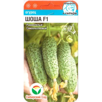 Огурец Шоша F1 /5 семян/ *СибСад*