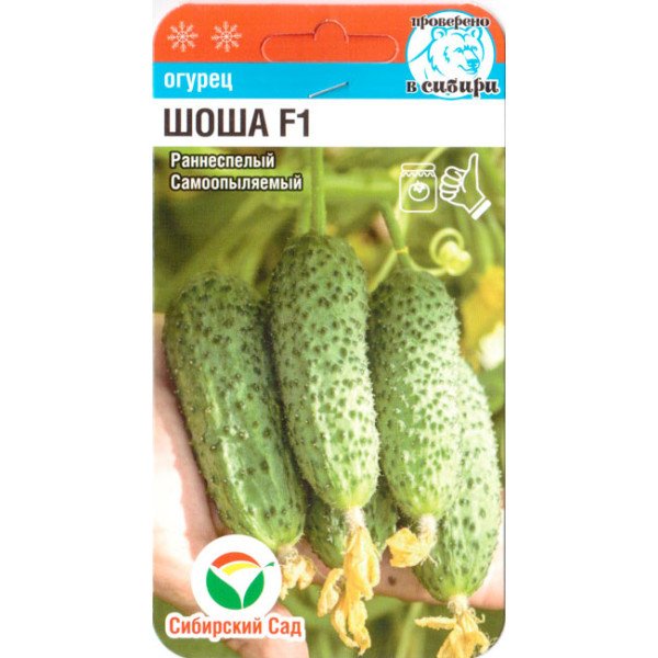 Семена огурца Шоша F1 /5 семян/ *СибСад*