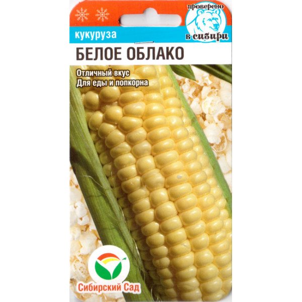 Насіння кукурудзи попкорн Біла хмара /10 насінин/ *СібСад*