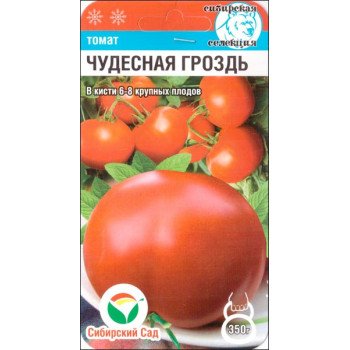 Томат Чудове гроно /20 насінин/ *СибСад*
