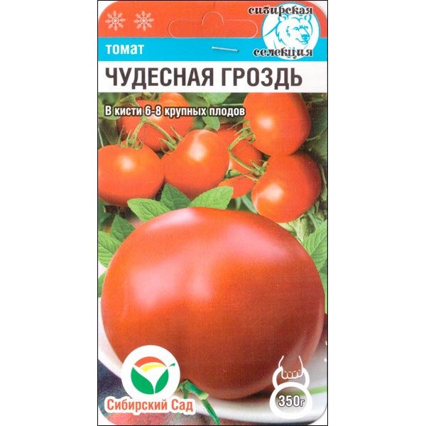 Томат Чудове гроно /20 насінин/ *СибСад*
