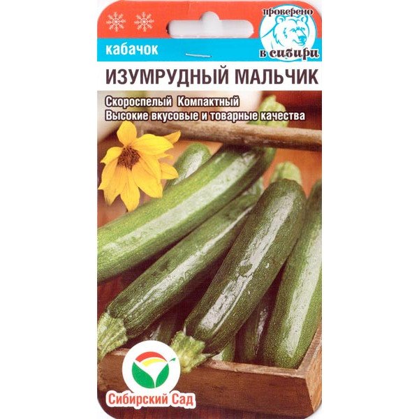 Семена кабачка Изумрудный мальчик /5 семян/ *СибСад*