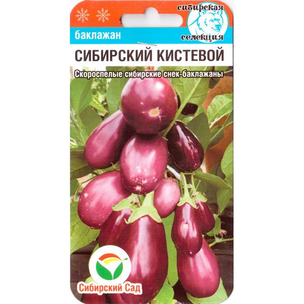 Семена баклажана Сибирский кистевой /20 семян/ *СибСад*