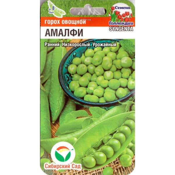 Семена гороха Амалфи /4 г/ *СибСад*