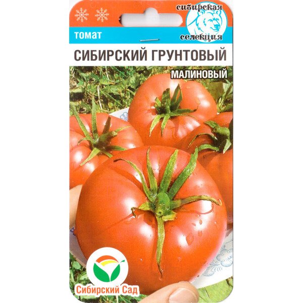 Насіння томату Сибірський ґрунтовий малиновий /20 насінин/ *СибСад*