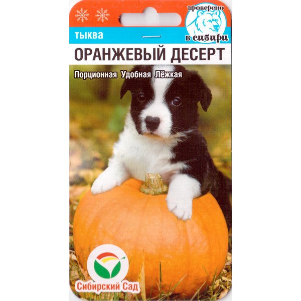 Насіння гарбуза Помаранчевий десерт /5 насінин/ *СибСад*