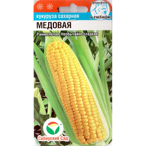 Насіння кукурудзи цукрової Медова /6 насінин/ *СібСад*