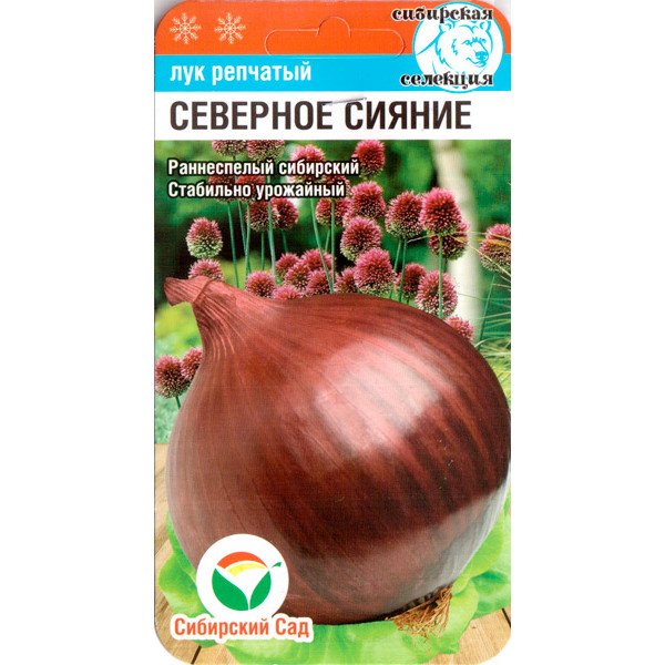Насіння цибулі Северное сяяння /1 г/ *СібСад*