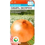 Цибуля Сибір-Експрес /1 г/ *СібСад*