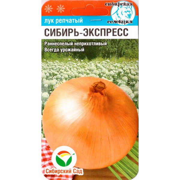 Насіння цибулі Сибір-Експрес /1 г/ *СібСад*