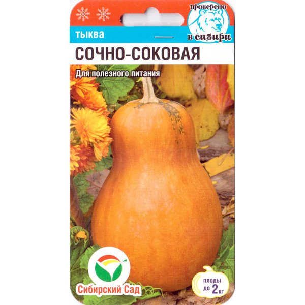 Cемена тыквы Сочно-соковая /5 семян/ *СибСад*