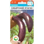 Баклажан Сибірський ятаган /20 насінин/ *СібСад*