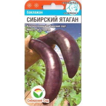 Баклажан Сибірський ятаган /20 насінин/ *СібСад*