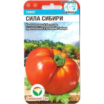 Томат Сила Сибіру /20 насінин/ *СибСад*