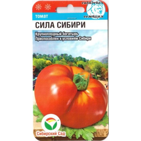 Насіння томату Сила Сибіру /20 насінин/ *СибСад*