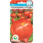 Томат Роскошная гроздь /20 семян/ *СибСад*