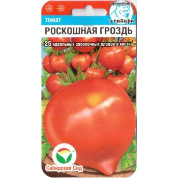 Томат Розкішне гроно /20 насінин/ *СибСад*