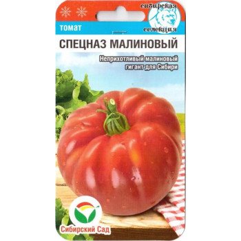 Томат Спецназ малиновый /20 семян/ *СибСад*