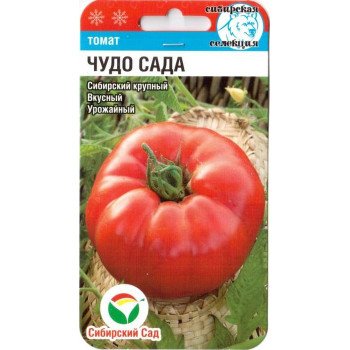 Томат Чудо саду /20 насінин/ *СибСад*