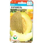 Дыня Карамель /7 семян/ *СибСад*