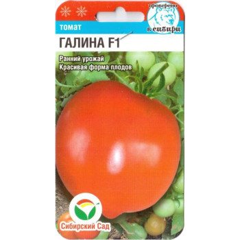 Томат Галина F1 /15 насінин/ *СибСад*