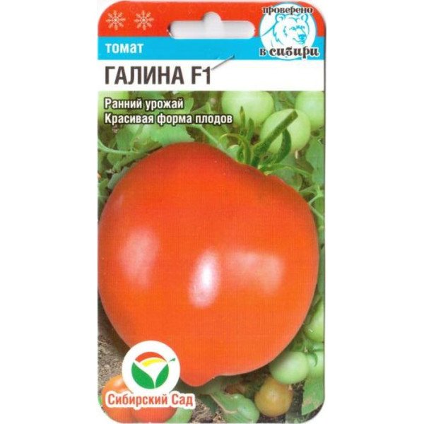 Семена томата Галина F1 /15 семян/ *СибСад*