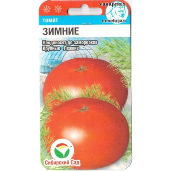 Семена томата Зимние /20 семян/ *СибСад*