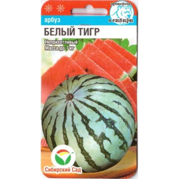 Семена арбуза Белый тигр /5 семян/ *СибСад*