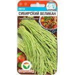 Вігна Сибірський велетень /6 насіння/ *СібСад*