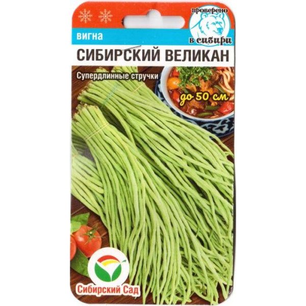 Насіння вігни Сибірський велетень /6 насіння/ *СібСад*