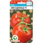 Томат Зіркопад F1 /15 насінин/ *СибСад*