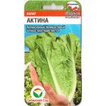 Салат Актина /10 семян/ *СибСад*