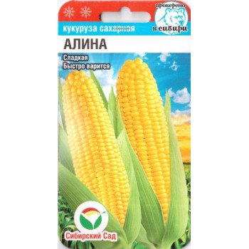 Кукуруза сахарная Алина /6 семян/ *СибСад*