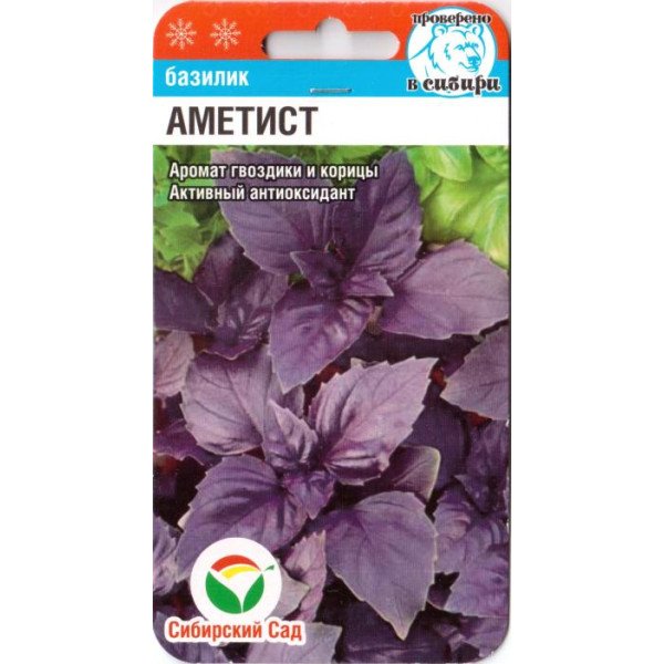 Семена базилика Аметист /0,5 г/ *СибСад*