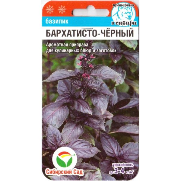 Насіння базиліка Бархатисто-чорний /0,5 г/ *СибСад*