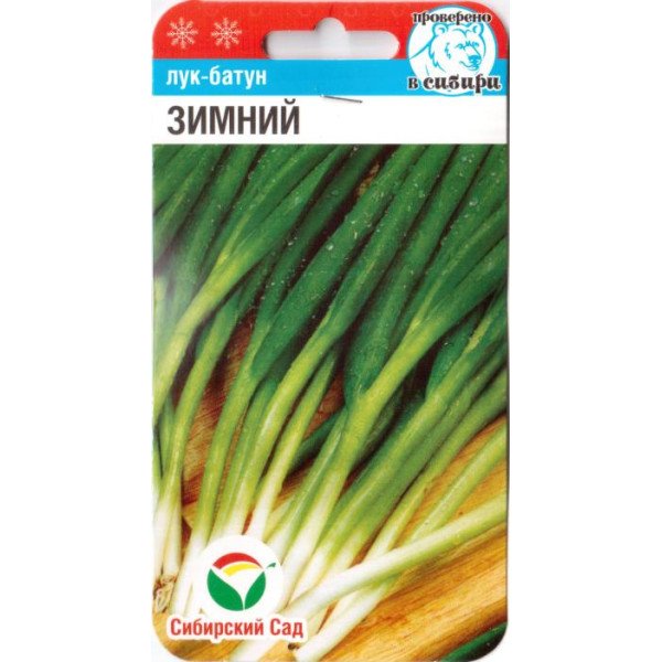 Семена лука-батун Зимний /1 г/ *СибСад*