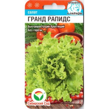 Салат Гранд Рапидс /0,5 г/ *СибСад*