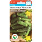 Огірок Малахітовий розсип F1 /7 насінин/ *СибСад*