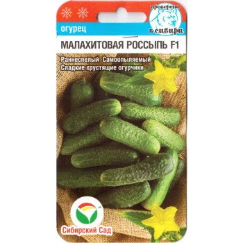 Огірок Малахітовий розсип F1 /7 насінин/ *СибСад*