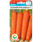 Морква Осіння красуня F1 /120 насінин/ *СибСад*