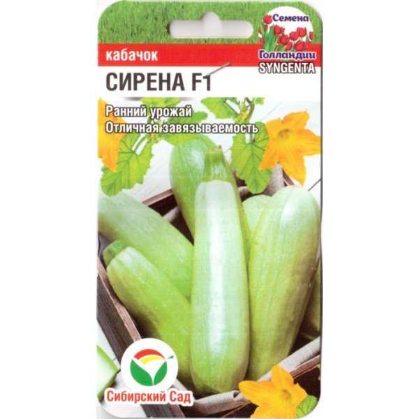 Насіння кабачка Сирена F1 /3 насінини/ *СибСад*