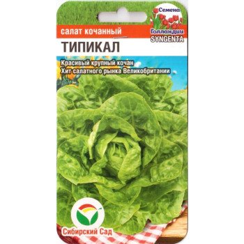 Салат Типікал /10 насінин/ *СибСад*