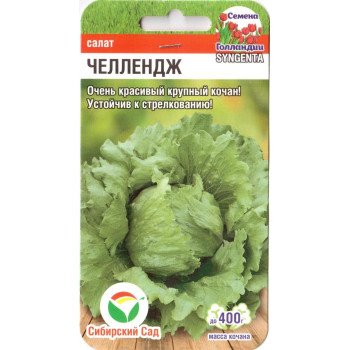 Салат Челлендж /10 насінин/ *СибСад*