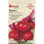 Свекла Кадет /2 г/ *Садыба*