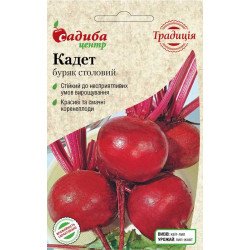 Свекла Кадет /2 г/ *Садыба*