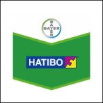 Фунгицид Нативо 75 WG /2 кг/ *Bayer*