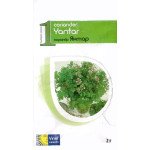 Кориандр Янтарь /2 г/ *Vinel seeds*