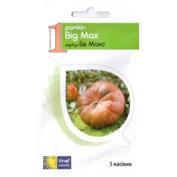 Гарбуз Біг Макс /5 насінин/ *Vinel seeds*