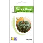 Гарбуз Марина ді К'єджа /5 насінин/ *Vinel seeds*