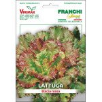 Салат Бисциа Росса /8 г/ *Virimax*